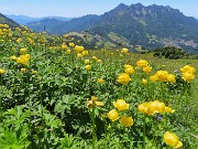 Capanna 2000 ad anello da Alpe Arera, festa di fiori-13giu26- FOTOGALLERY